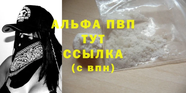 ECSTASY Горняк
