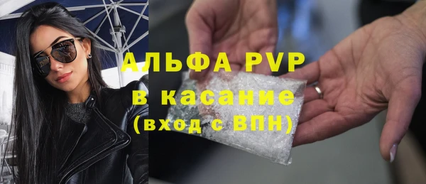 ECSTASY Горняк