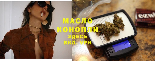 ECSTASY Горняк