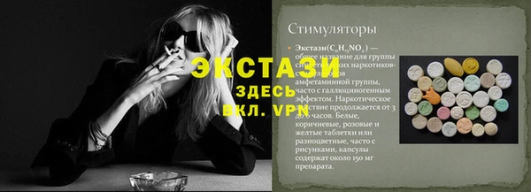 ECSTASY Горняк