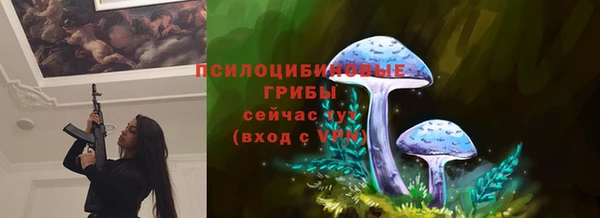 mdma Горнозаводск