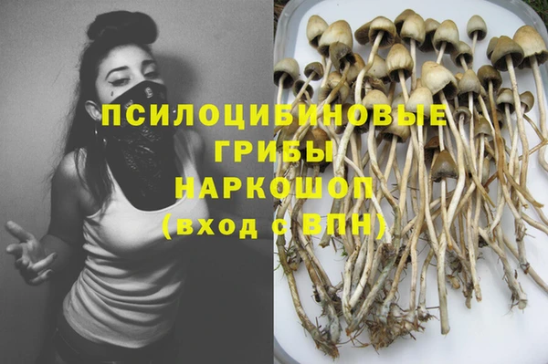 mdma Горнозаводск