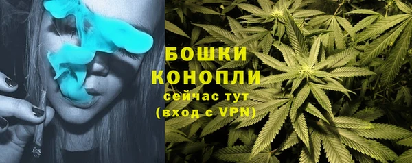 ECSTASY Горняк