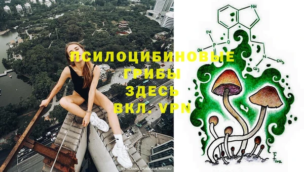 марки lsd Горно-Алтайск