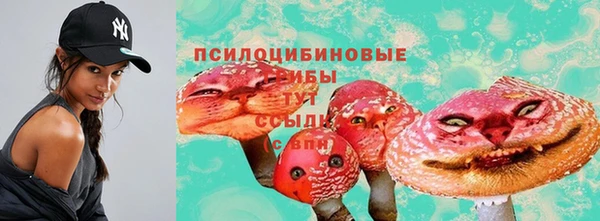 марки lsd Горно-Алтайск