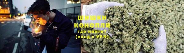 ECSTASY Горняк