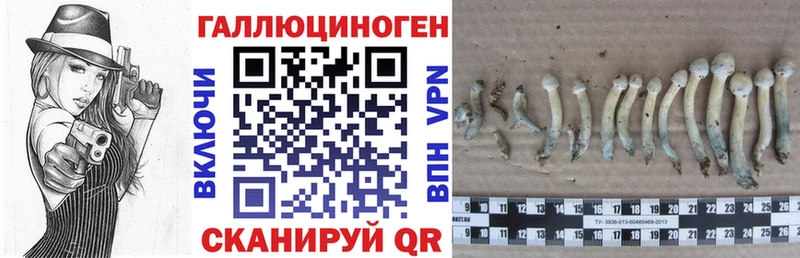 Купить где  Ливны  Галлюциногенные грибы GOLDEN TEACHER 
